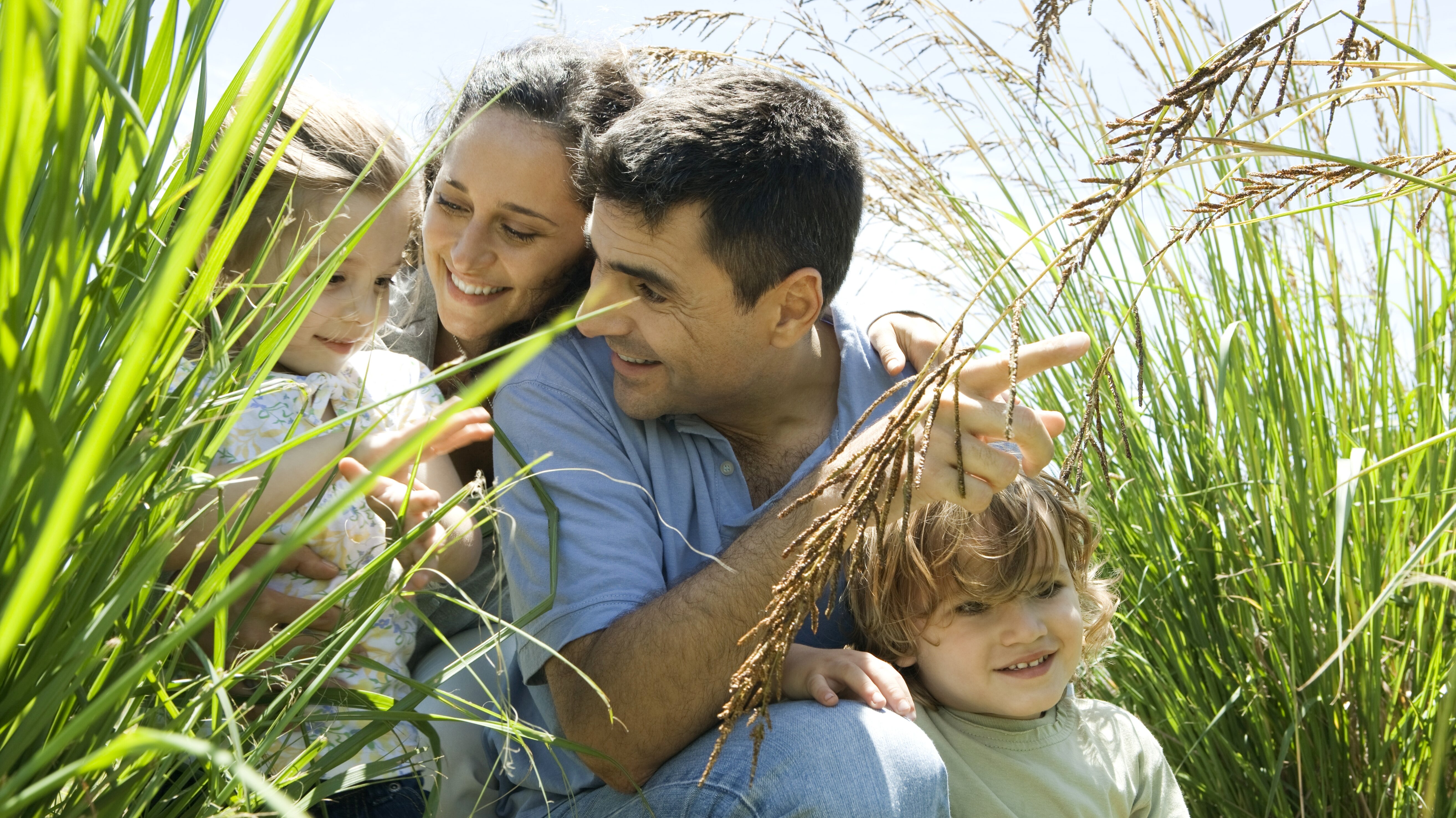 Familie erforscht die Natur im hohen Gras Familie erforscht die Natur im hohen Gras